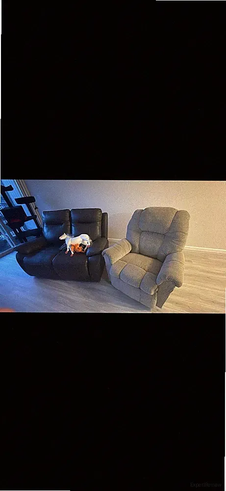 Reclining Loveseat And Recliner Chair